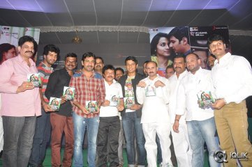 Chirunavvula Chirujallu Movie Audio Launch